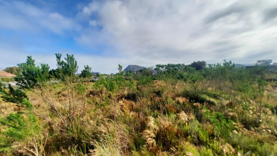 0 Bedroom Property for Sale in Bettys Bay Western Cape
